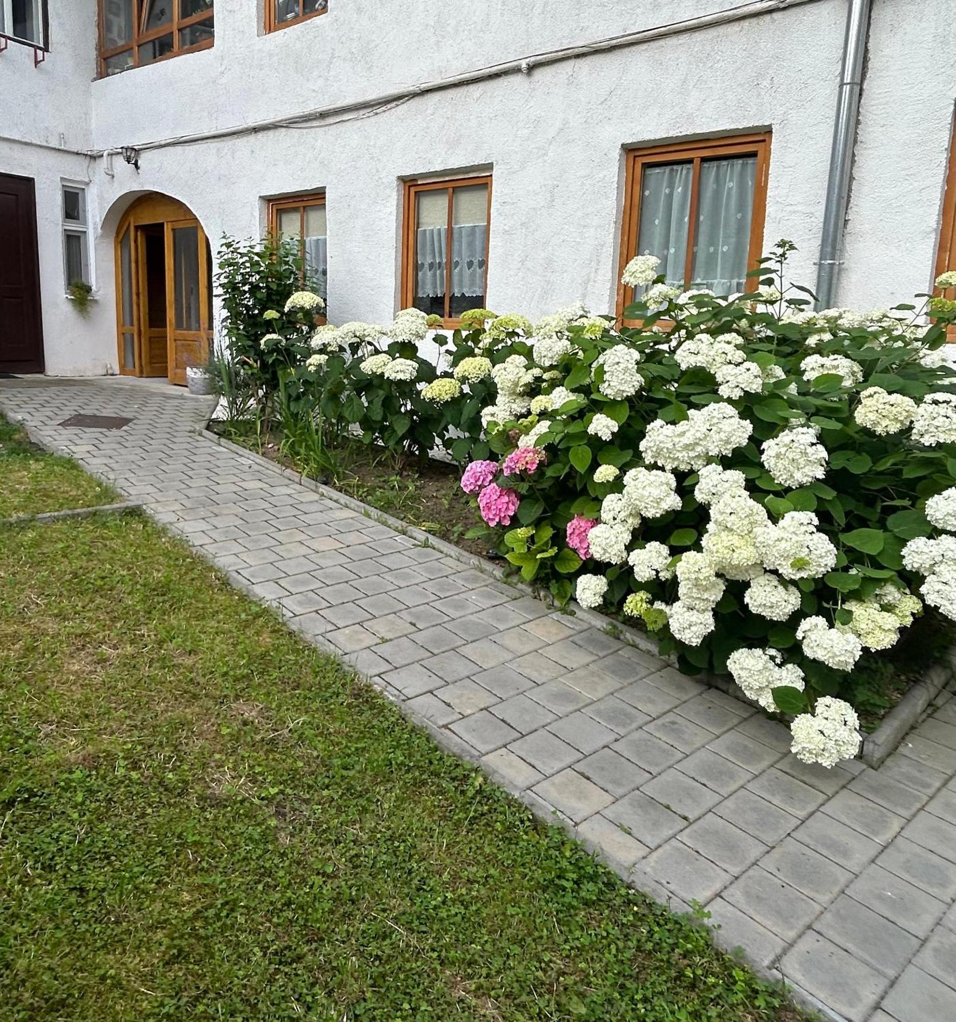Stone Way Apartment Сібіу Екстер'єр фото